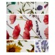6 PEZZI STROFINACCI SPUGNA COTONE STAMPATO GARDEN VINGI