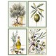 STROFINACCI 50X70CM 4 PEZZI COTONE DIGITALE OLIO SGHOME