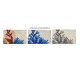 ASSORTITO 3 PEZZI TAPPETO BAGNO 50X80CM ANTISCIVOLO TARIK SGHOME