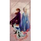 TELO MARE SPUGNA 70X140CM FROZEN DISNEY