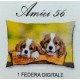 FEDERA CUSCINO COTONE DIGITALE AMICI CANI 56 IMBERTI