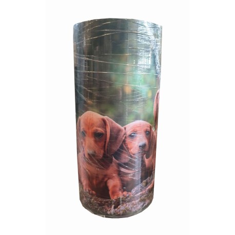 PASSATOIA CINIGLIA ROTOLO 20MTX52CM DIGITALE CANI HARRIS WALTEX