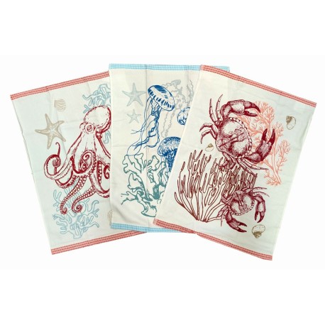 STROFINACCI SPUGNA CONF. 6 PEZZI ASSORTITI KITCHEN OCEAN SGHOME