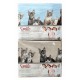 COMPLETO LENZUOLA COTONE MATRIMONIALE SMILE GATTI SAVOLTEX