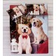 PARURE COPRIPIUMINO COTONE DIGITALE SOGNI D&#039;ORO CANI 72 LOVELY HOME