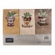 3 PEZZI STROFINACCI SPUGNA COTONE RICAMATO HERBARIUM PEPERONCINO VINGI