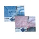 COMPLETO LENZUOLA COTONE MATRIMONIALE RIGATO FANTASY NIDO HOME