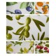 6 PEZZI STROFINACCI SPUGNA COTONE STAMPATO MEDITERRANEO VINGI