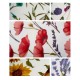 6 PEZZI STROFINACCI SPUGNA COTONE STAMPATO GARDEN VINGI