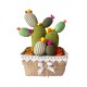 FERMAPORTA IN STOFFA MAXI CESTINO CACTUS PEZZOLI