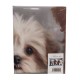 FEDERA CUSCINO COTONE DIGITALE AMICI CANI 63 IMBERTI