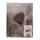 FEDERA CUSCINO COTONE DIGITALE AMICI GATTI 61 IMBERTI