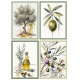 STROFINACCI 50X70CM 4 PEZZI COTONE DIGITALE OLIO SGHOME