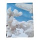 FEDERA CUSCINO COTONE DIGITALE HOLIDAY 48 IMBERTI