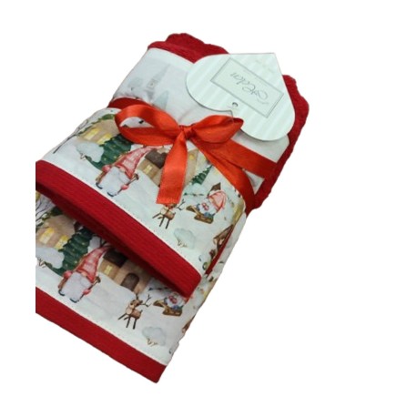 COPPIA SPUGNA ASCIUGAMANO + OSPITE DIGITALE NATALE HOME HELEN