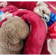 TRAPUNTA INVERNALE MATRIMONIALE VELLUTO SHERPA TEDDY SNOW LOVELY HOME