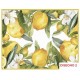 TOVAGLIA ANTIMACCHIA DIGITALE KIKI CLASSIC LIMONI SGHOME