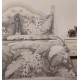 TRAPUNTINO MATRIMONIALE MICROFIBRA JACQUARD DOUBLE FACE CORINTO 4 FOGLIE SOPHIE