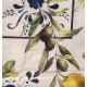 TOVAGLIA ANTIMACCHIA SPLASH FIORI DI PRATO LIMONI MAIOLICA LOVELY HOME