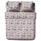 ASSORTITO 4 PEZZI COMPLETO LENZUOLA COTONE MATRIMONIALE DELICATO STELLE MARINE HOME SWEET HOME