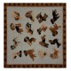 PLAID LANA COTTA 150X180CM CANI ARIEL FABBRICA TESSILE