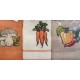 3 PEZZI STROFINACCI SPUGNA COTONE RICAMATO VERDIANA CAROTE VINGI