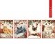 STROFINACCI 50X70CM 4 PEZZI COTONE DIGITALE CANDY GATTI MARS SGHOME