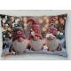 FEDERA CUSCINO COTONE DIGITALE NATALE CHALET 58 IMBERTI