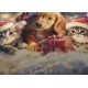 PARURE COPRIPIUMINO MICROFIBRA WHISH 3D CANE GATTO DESIDERI DI CASA