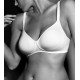 REGGISENO GIOS CANNELLA