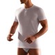 T-SHIRT UOMO SERAFINO GIROCOLLO 1308 CAGI
