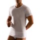 T-SHIRT UOMO GIROCOLLO 1328 CAGI-01