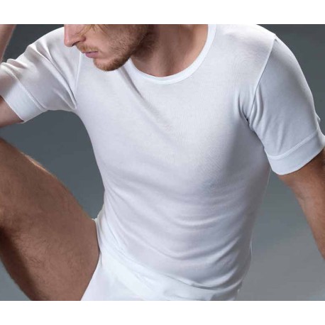 CORPO UOMO MANICA CORTA FILO DI SCOZIA 280-MM GICIPI