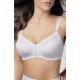 REGGISENO ADELE LEPEL
