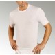 CORPO UOMO MANICA CORTA MISTO LANA 41-MM GICIPI