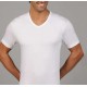 MAGLIA UOMO MEZZA MANICA 4124 BELLIDENTRO