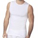 T-SHIRT UOMO SMANICATO NOTTINGHAM TG1600