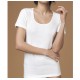 3 PEZZI T-SHIRT DONNA LANA COTONE TM15W NOTTINGHAM
